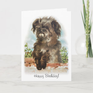 Carte d'anniversaire de chien nettoyant adorable