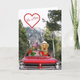 Carte d'anniversaire de chiens mignons