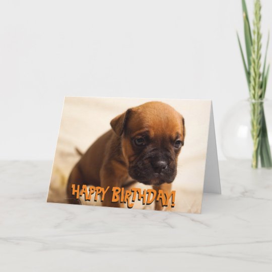 Carte D Anniversaire De Chiot Boxer Mignonne Zazzle Fr Carte D Anniversaire De Chiot Boxer Mignonne Zazzle Fr