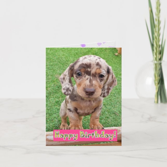 Carte d'anniversaire de Chiot de Dachshund (Devant)