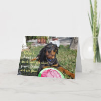 Carte d'anniversaire de chiot Rottweiler occupé