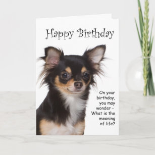 Cartes Chiwawa D Anniversaire Zazzle Fr