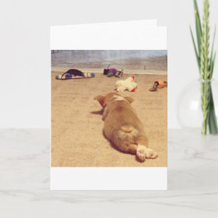 Carte d'anniversaire de corgi