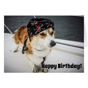 Carte d'anniversaire de corgi de pirate
