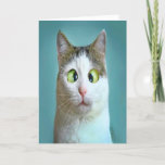 Carte d'Anniversaire de Crazy Cat<br><div class="desc">Cute Funny Crazy Cat carte d'anniversaire par THÉORY OF HUMOUR Greeting Card.</div>