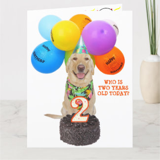 Carte d'anniversaire de deux ans pour animal domes