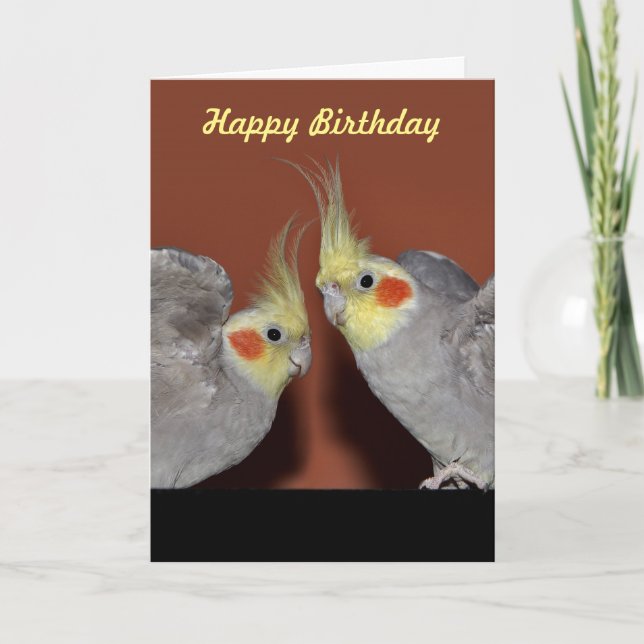 Carte d'anniversaire de duo de Cockatiel (Devant)