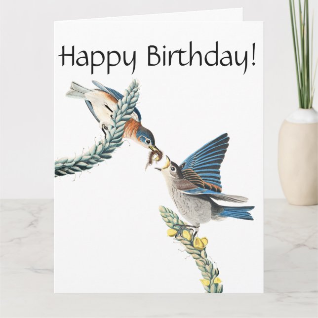 Carte d'anniversaire de faune d'oiseau d'oiseau (Devant)