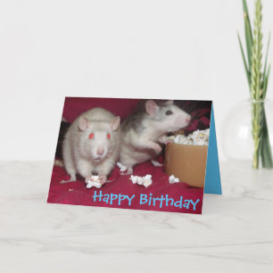 carte d'anniversaire de fête de rats