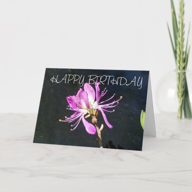 Carte d'anniversaire de fleur sauvage de Lambskill (Devant)