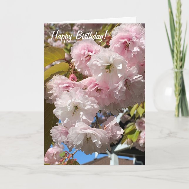 Carte d'anniversaire de fleurs de cerisiers roses (Devant)
