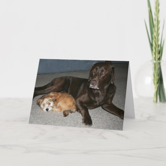 Carte d'anniversaire de frère (Devant)