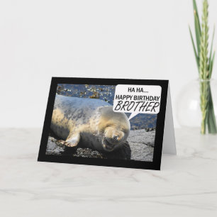 Carte d'anniversaire de frère avec le bébé phoque