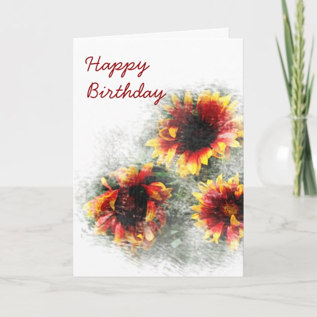 Carte d'anniversaire de Gazania (Devant)