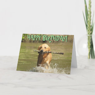 Carte d'anniversaire de golden retriever