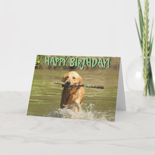 Carte d'anniversaire de golden retriever (Devant)