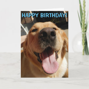 Carte d'anniversaire de golden retriever