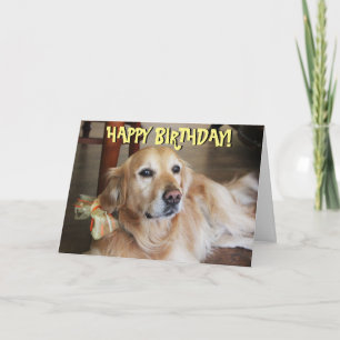 Carte d'anniversaire de golden retriever