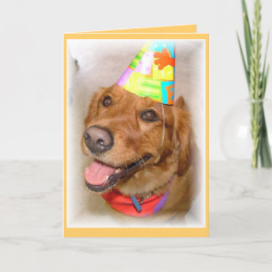 Carte d'anniversaire de golden retriever