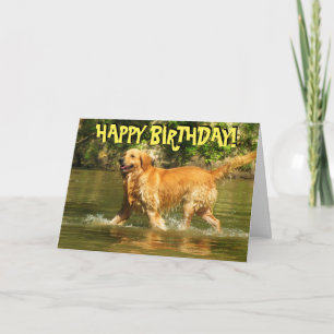 Carte d'anniversaire de Golden retriever