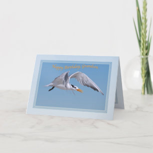 Carte d'anniversaire de Grandson avec Royal Tern B