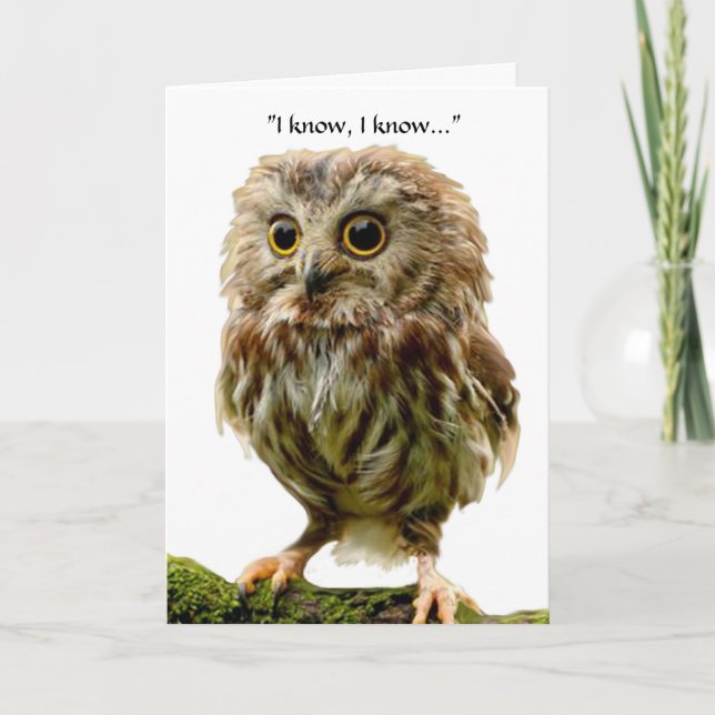 Carte d'anniversaire de hibou de 50 ans (Devant)