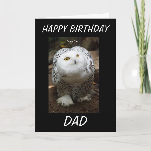 CARTE D'ANNIVERSAIRE DE HIBOU DE MILOU (Devant)