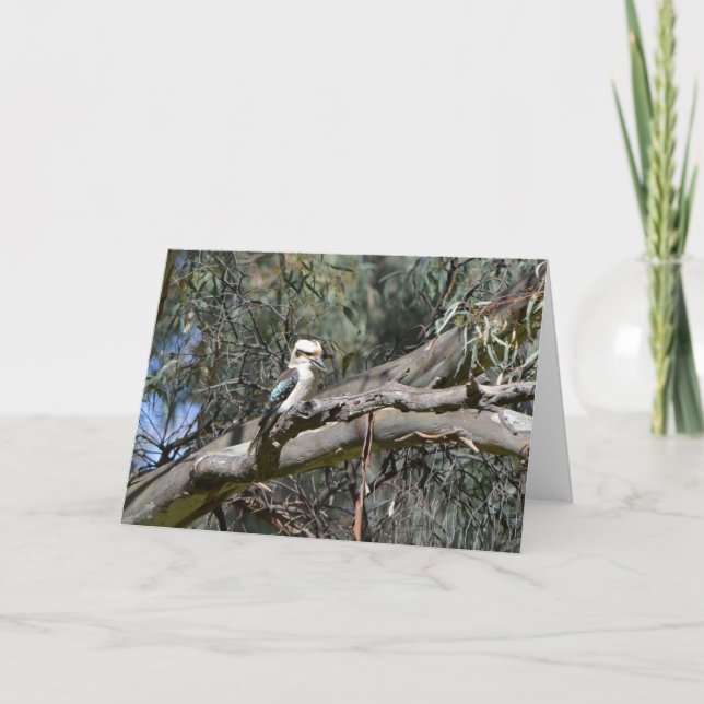 Carte d'anniversaire de Kookaburra (Devant)