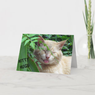 Carte d'anniversaire de la bête Kitty Hugs