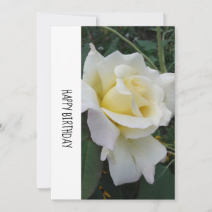 Cartes Blanche D Anniversaire Zazzle Fr