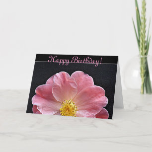 Carte d'anniversaire de la fleur de Camellia rose