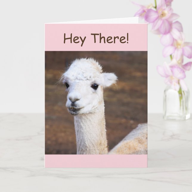 Carte d'anniversaire de la Llama (Orchidée)