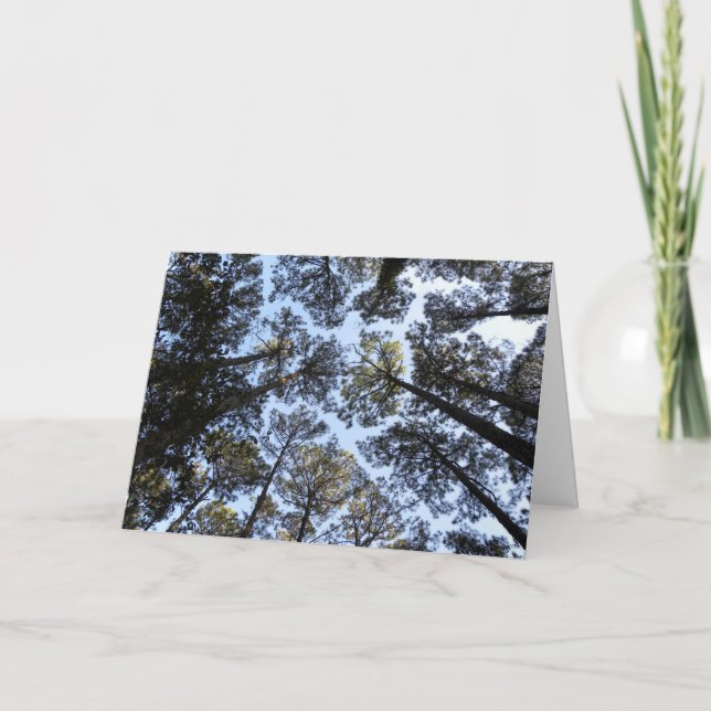 Carte d'anniversaire de la perspective des arbres  (Devant)