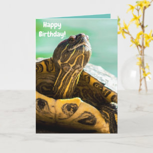 Carte d'anniversaire de la petite tortue