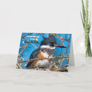 Carte d'anniversaire de la Pose d'oiseaux frappant