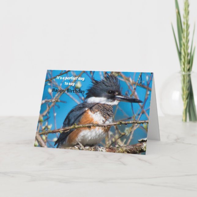 Carte d'anniversaire de la Pose d'oiseaux frappant (Devant)