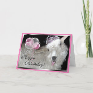 Cartes Chevre D Anniversaire Zazzle Fr