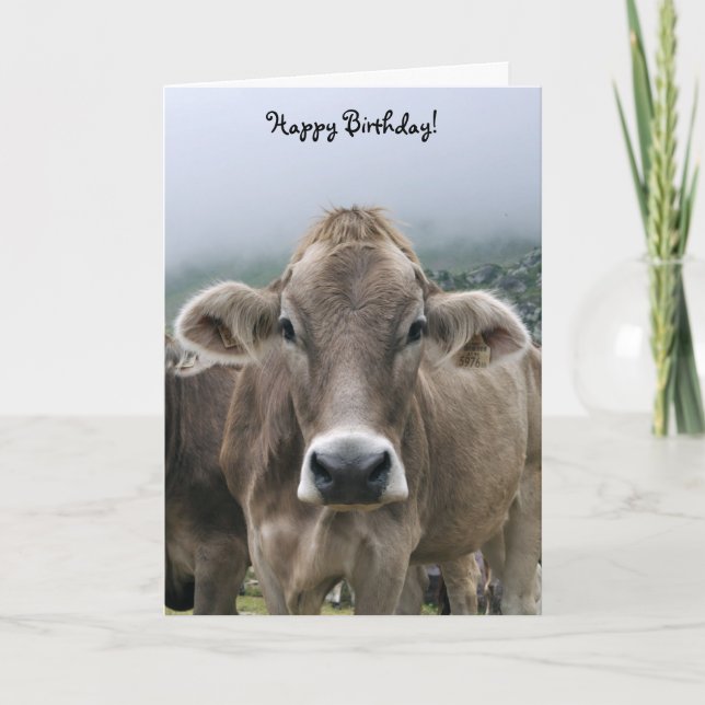 Carte d'anniversaire de la vache alpine (Devant)