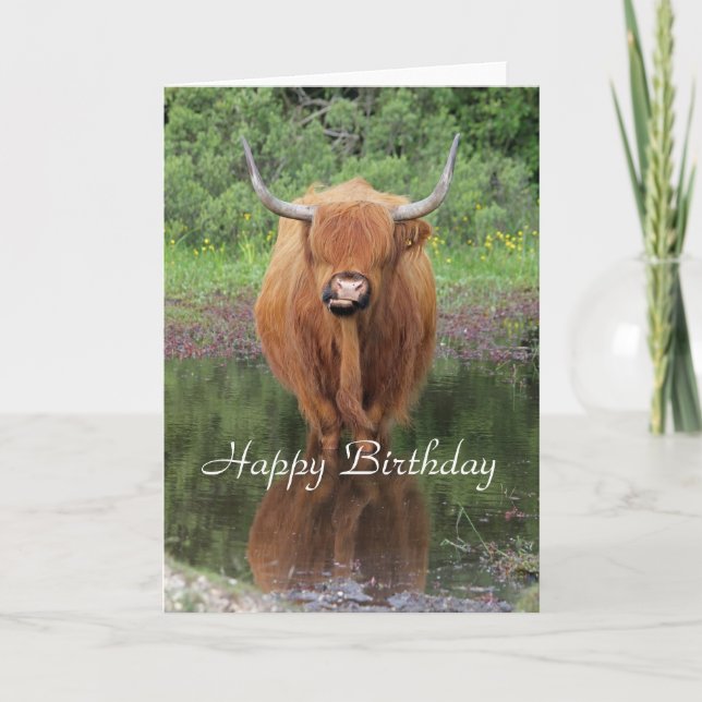 Carte d'anniversaire de la vache Highland (Devant)