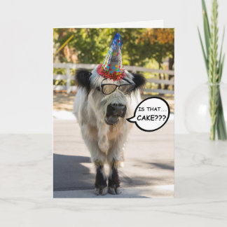 Carte d'anniversaire de la Vache mignonne