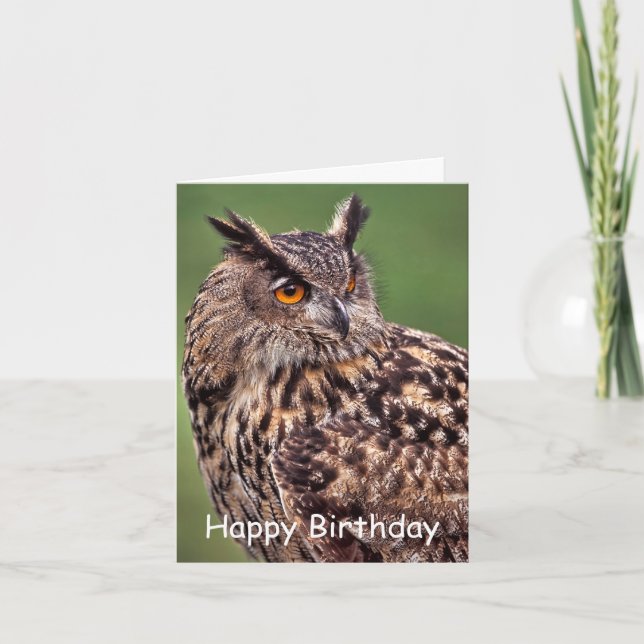 Carte d'anniversaire de l'Aigle Owl (Devant)