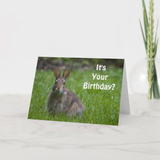 Carte d'anniversaire de lapin