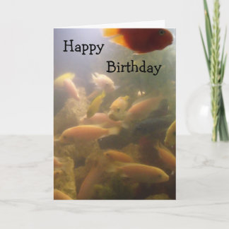 Carte d'anniversaire de l'aquarium