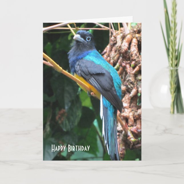 Carte d'anniversaire de l'oiseau bleu avec une lon (Devant)