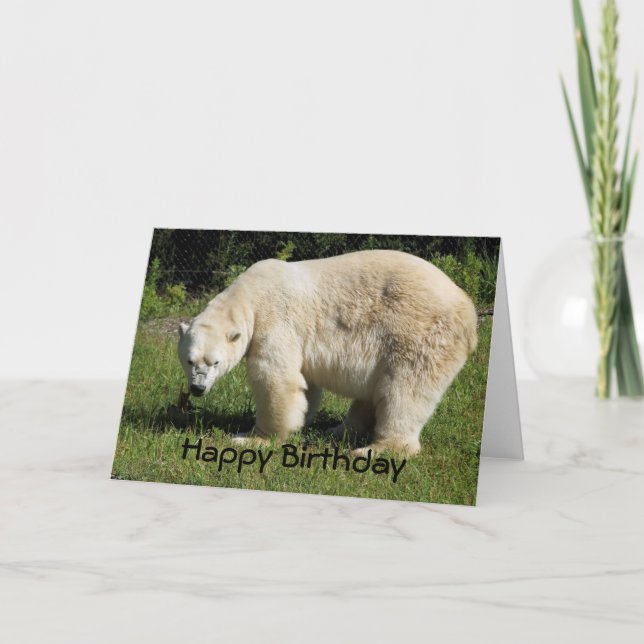 carte d'anniversaire de l'ours polaire (Devant)