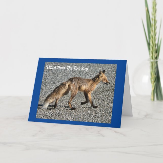 Carte d'anniversaire de M. Wild Fox (Devant)