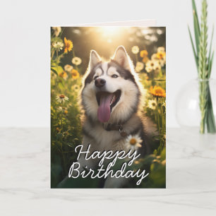 Carte d'anniversaire de malamute en Alaska personn