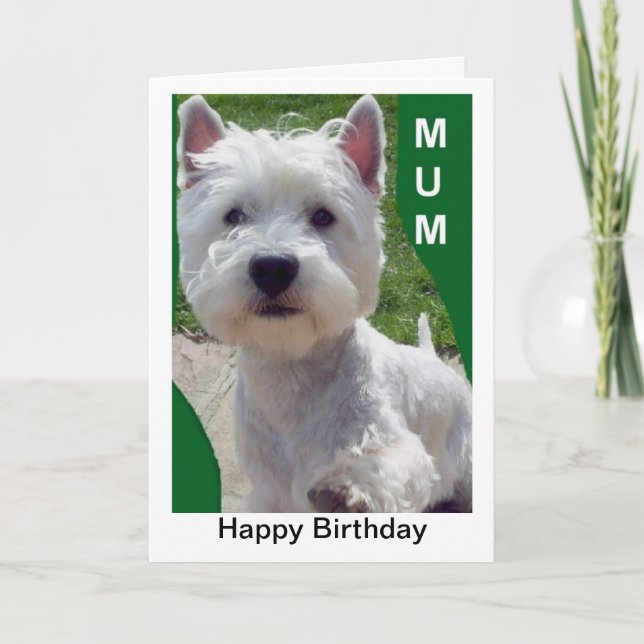 Carte d'anniversaire de maman de Westie Westi (Devant)