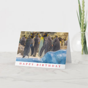 Carte d'anniversaire de manchots au zoo
