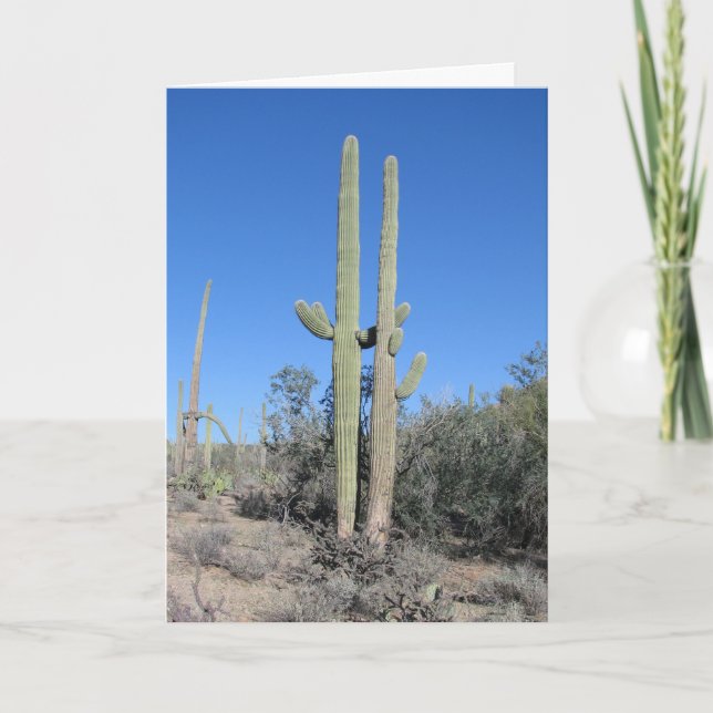 Carte d'anniversaire de mariage drôle Cactus (Devant)